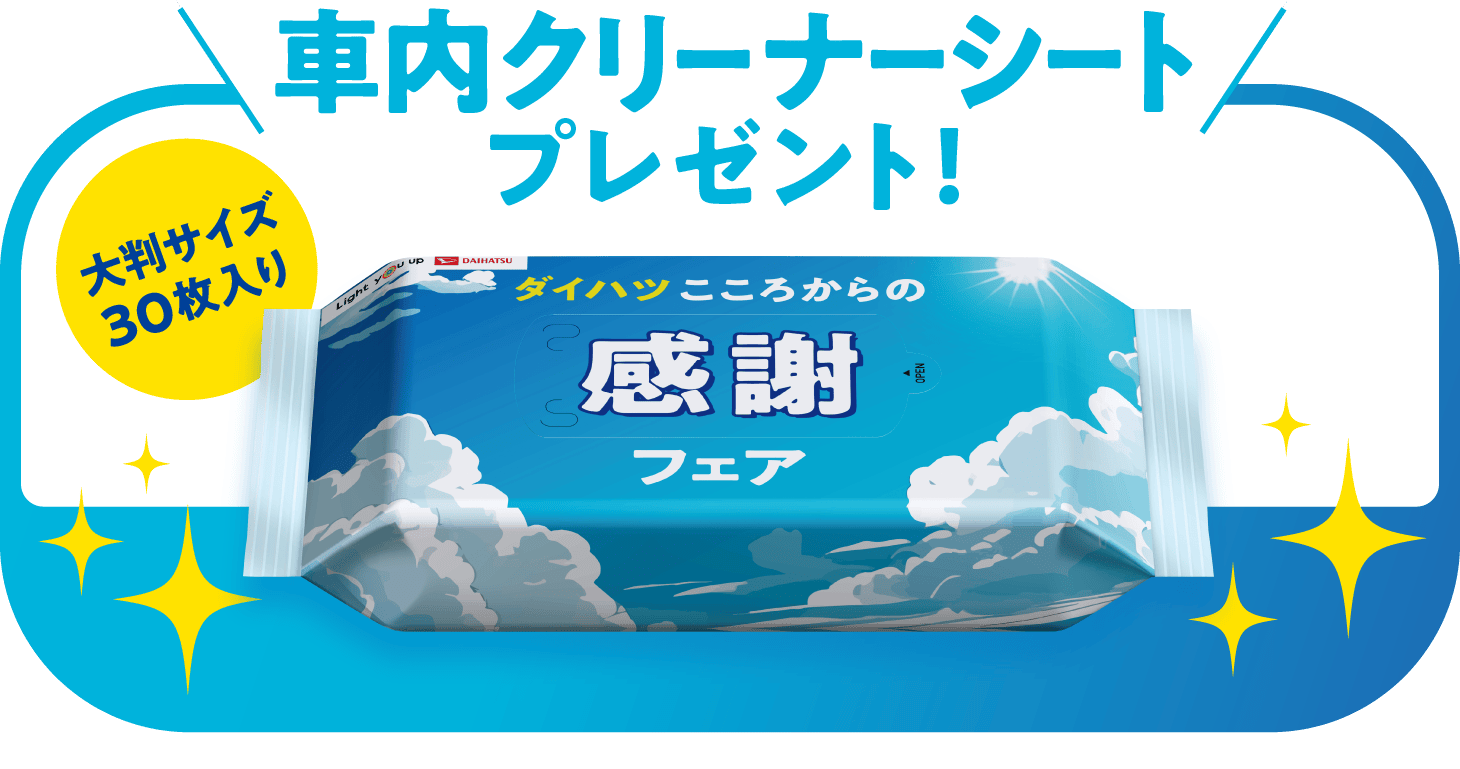 車内クリーナーシートプレゼント！（大判サイズ30枚入り）